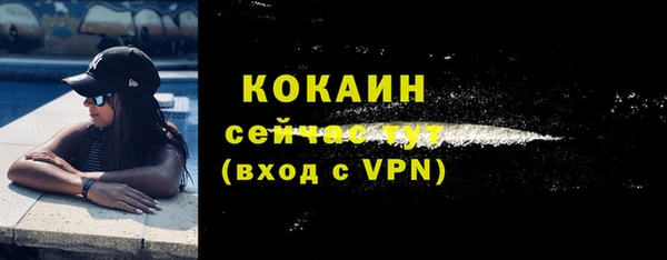 хмурый Дмитровск