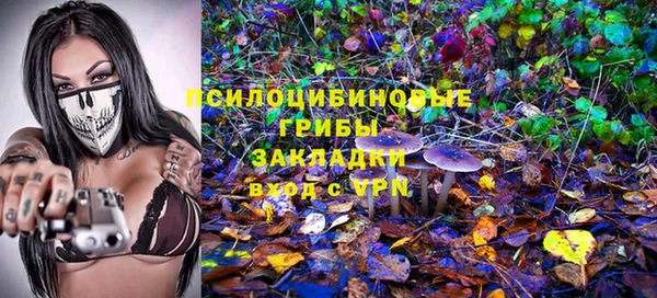 соль курить ск Дмитров