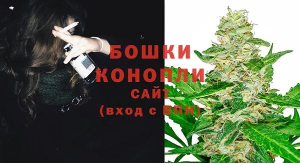 сатива Дмитриев