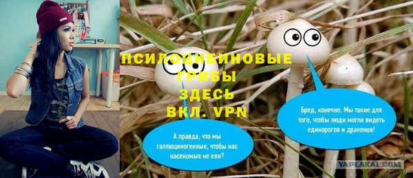 сатива Дмитриев