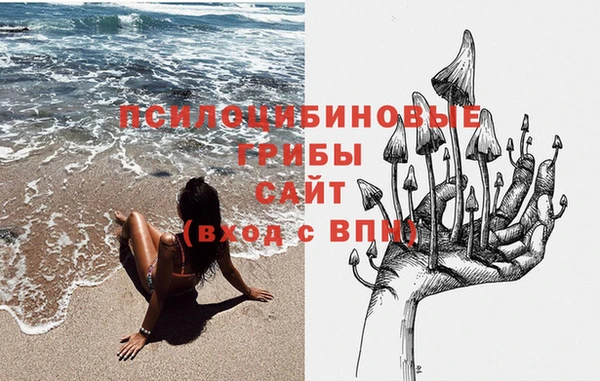 хмурый Дмитровск