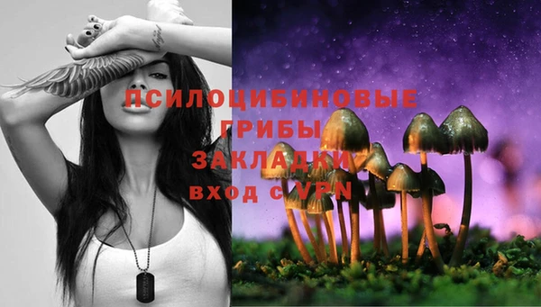 сатива Дмитриев