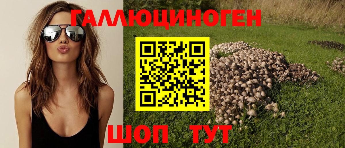 Псилоцибиновые грибы Psilocybe Сибай